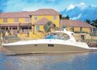 SEA RAY 455