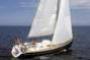 ELAN 31