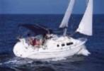 HUNTER 306