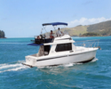 FAIRWAY 36 CRUISER